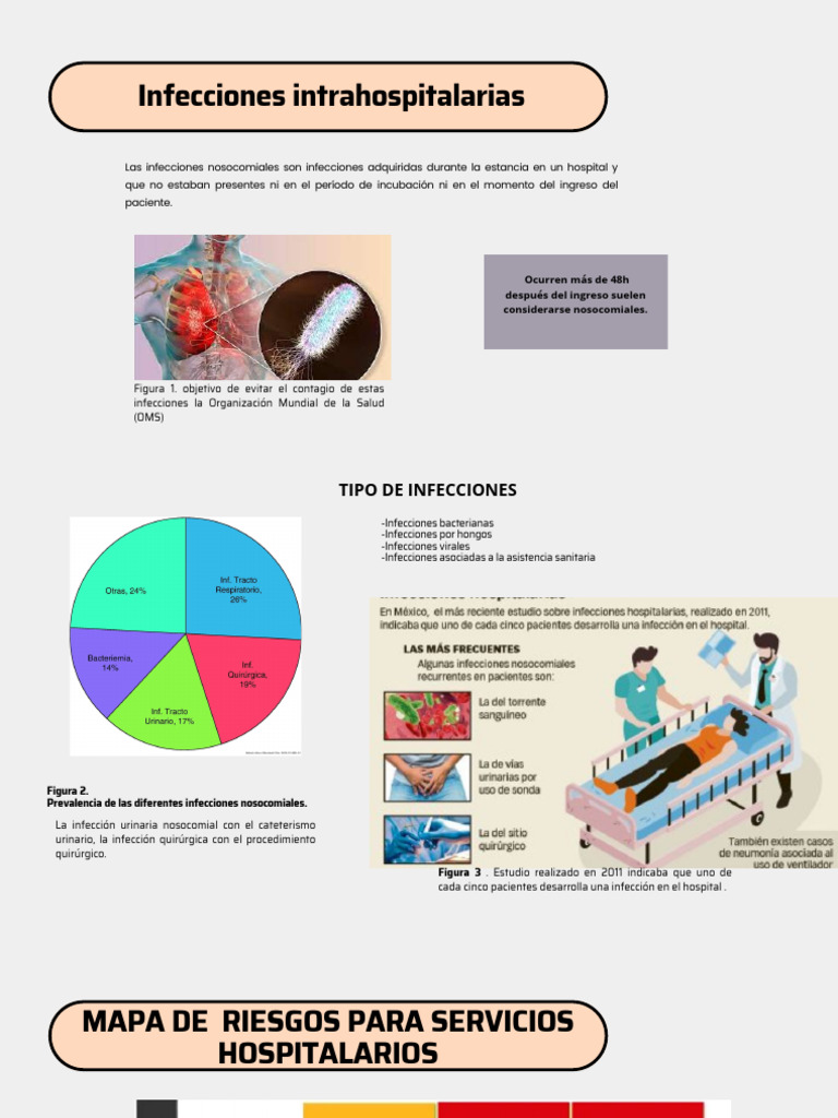 Infecciones Intrahospitalarias Pdf Infección Adquirida En El