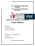 Clinica Informe