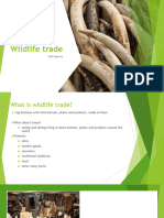 Wildlife Trade
