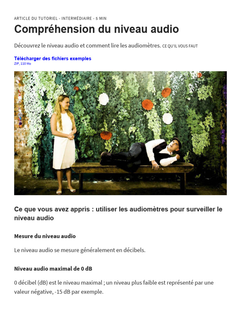 Comprendre les niveaux audio en 5 min | PDF | Livres de cuisine ...