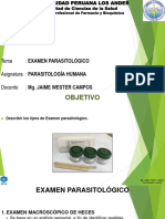 Práctica 3. Examen Parasitológico