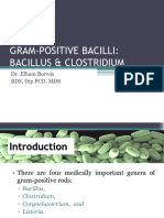 Bacillus