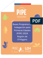 Bases-PIPE-2024-Región-de-OHiggins