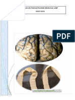 Parasitologie l3bp 2023-2024