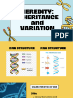 Structure of DNA Science Presentation in Light Blue Green Lined Style (2)