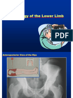 Radiology Lec-3