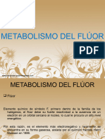 Metabolismo Del Flúor Resumen