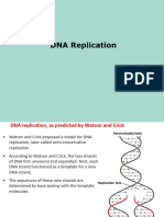 DNA Replication