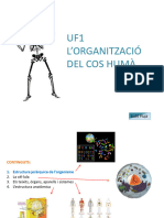 UF1-NF1.Lorganització Del Cos Humà