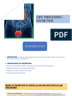 Life Processes - Excretion.pptx