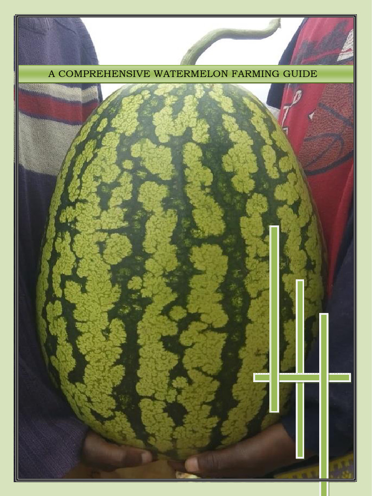 A Comprehensive Watermelon Farming Guide - Dennis Muindi | PDF | Soil ...