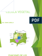 Celula Vegetal