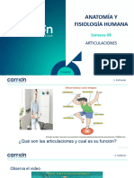 Semana 08