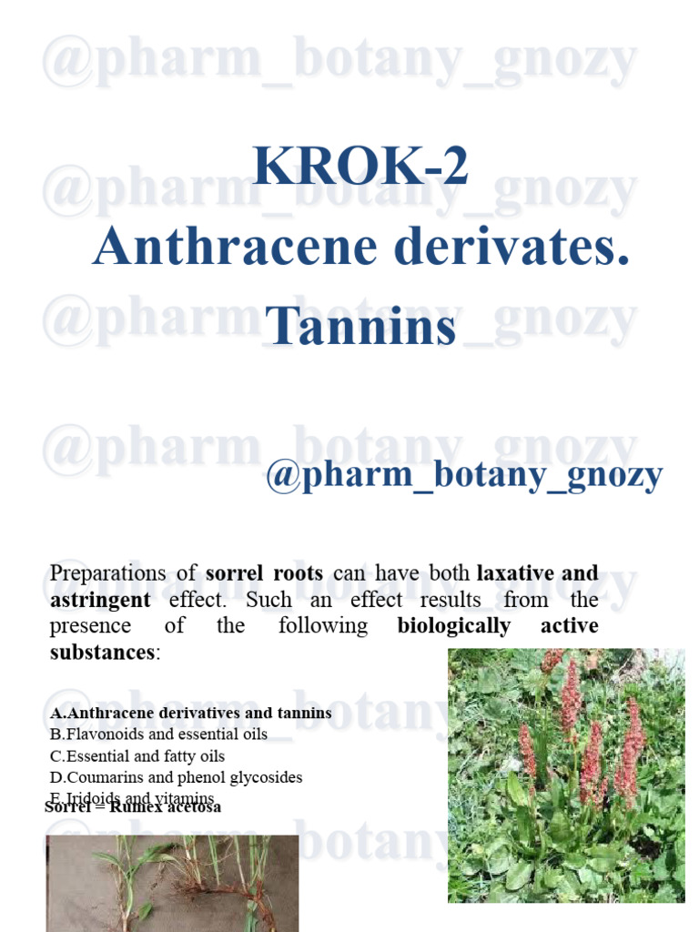 KROK-2. Pharmacy. Tannins | PDF