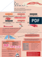 Infografia Sistema Musculo Esqueletico