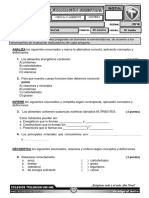 Examen Bimestral Ciencia y Ambiente 4to de Primaria