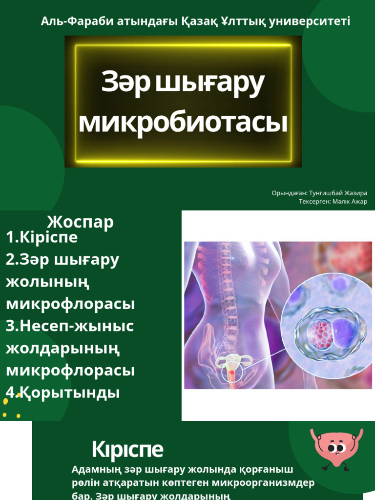 Дилдо секс порно онлайн көру