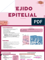Tejido Epitelial - 20230912 - 210824 - 0000