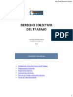 2018_UCN_Derecho_Colectivo_Diapositivas_001-058