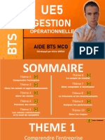 Fiches Graphiques - UE5 Gestion Operationnelle