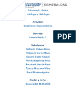 TC y TA de Organelas Citoplasmáticas - Citología