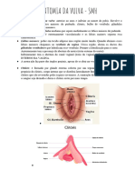 ANATOMIA DA VULVA - SMH