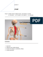 Inspeccion de La Columna Dorsal