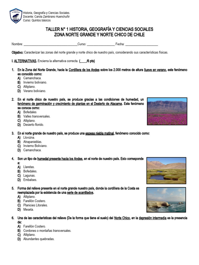 Taller sobre Zonas del Norte de Chile | PDF | Andes | Ciencias de la Tierra