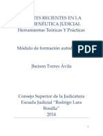 Torres Jheison, Debates Recientes en La Hermenéutica Judicial, 2014