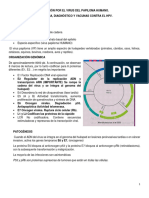 Infección Por HPV