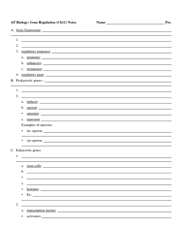 Gene Regulation Notes Outline PDF