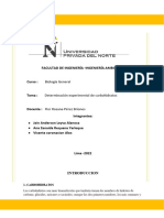 informe 3