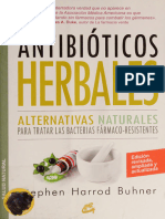 Antibióticos Herbales Alternativas Naturales para Combatir Buhner