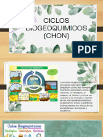 Ciclo Biogeoquimico Chon