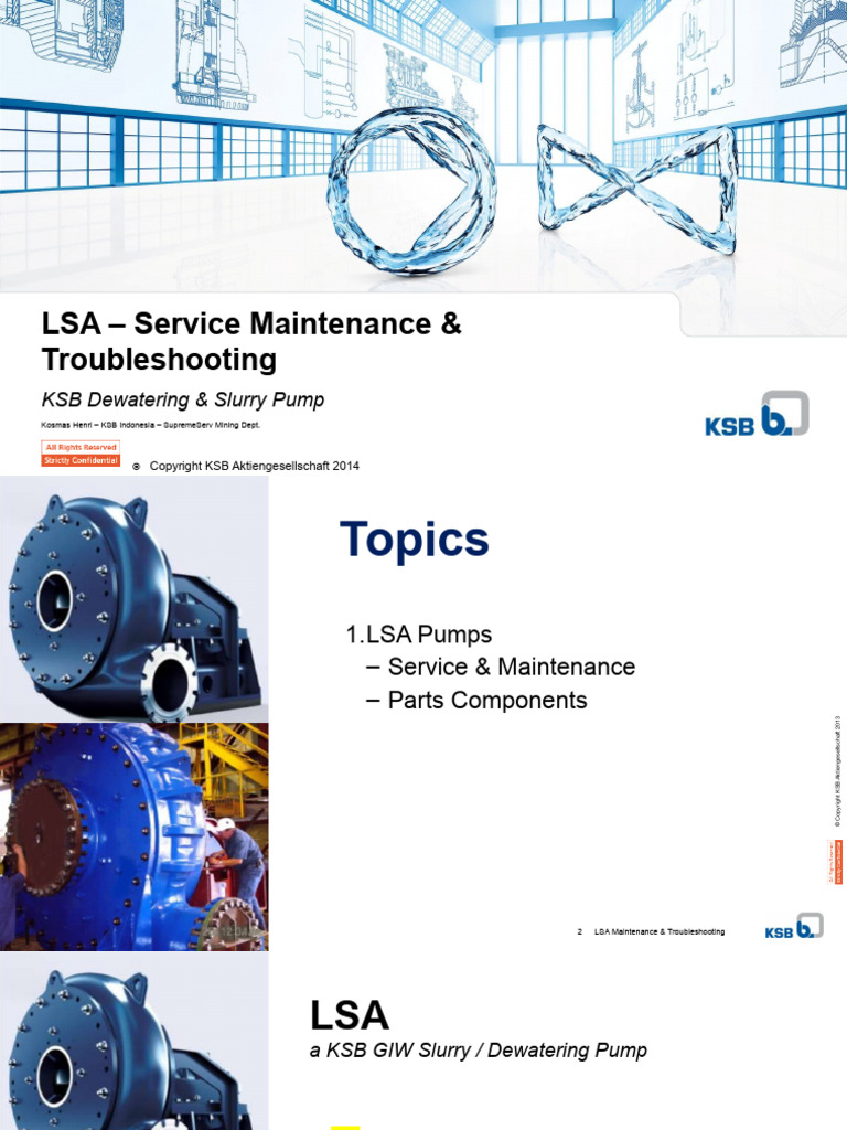 LSA Service - Maintenance | PDF | Bearing (Mechanical) | Pump