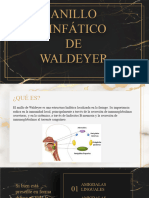 Anillo de Waldeyer