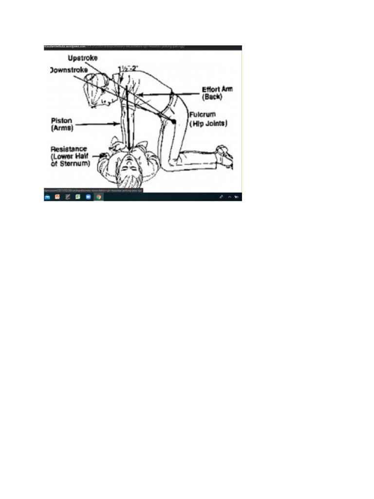 RJP 2 | PDF
