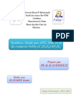 Rapport Dsc Elouardi Karim PDF