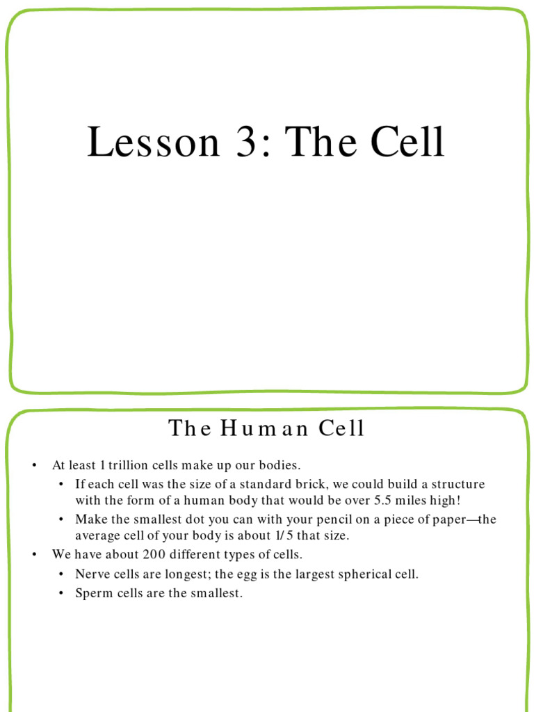 Lesson3-TheCell | PDF | Cell Membrane | Cell (Biology)