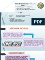 COSO I (2)