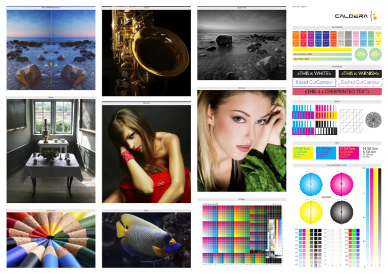 Pantone Color Guide for Graphics | PDF | Graphic Design | Imaging