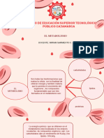 Sickle Cell Anemia Infographics by Slidesgo