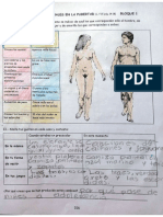 Formación Arim