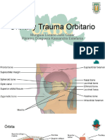 Munguía, Páramo - Oftalmo - Trauma