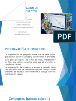 Programación de Proyectos