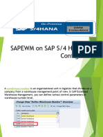 S4 EWM Config 1 PDF