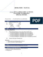 Manual LabAct PA SS 2024 Student (AHH)