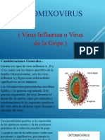 Tema 2 Ortomixovirus
