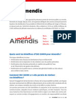sr_mena_case_study_factsheet_morocco_amendis