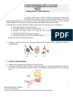 TP Nº 9- Sistema Nervioso